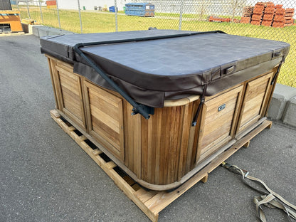 Used Arctic Spa 2009 Summit S/MP