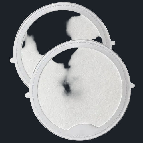 First Filter (maax) 2 pack  ProAqua&Pleatco - LA Pool & Spas