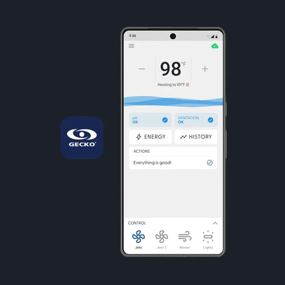Gecko IN.TOUCH 3+: RF INTERFACE MODULE (WATERLAB COMP)  ASPS - LA Pool & Spas
